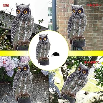 Amazon.co.jp: 鳥よけフクロウ、フクロウの置物 鳥よけ 害鳥対策